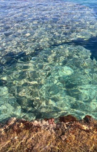 I giardini di Santomaj