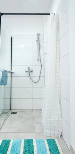 BIG New 7Rooms City Center APARTMENTS and Suites, Berlin (photo 11)