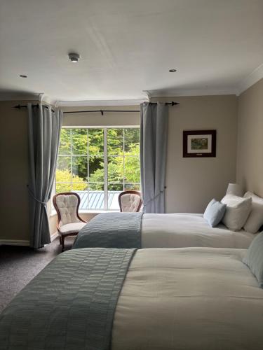 The Grove Lodge Guesthouse 4