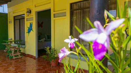 Cabinas Bahia Uvita - Marino Ballena National Park Lodge in อูบิตา