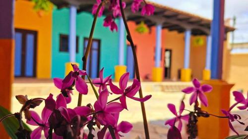 Jazmin Hotel Boutique Colonial - Comitán de Domínguez