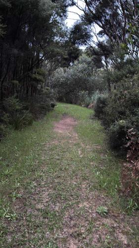 Motutangi Heights in Pukenui