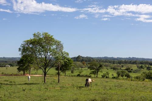 Casa Alegría (Casa Alegria) in 千里達