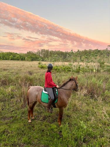 Casa Alegría (Casa Alegria) in 千里達