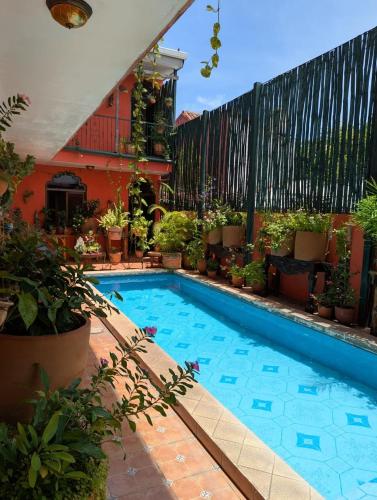 razgled, Boutique Hotel Maharaja in Grenada