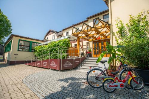 Landhotel Plauen - Gasthof Zwoschwitz 5
