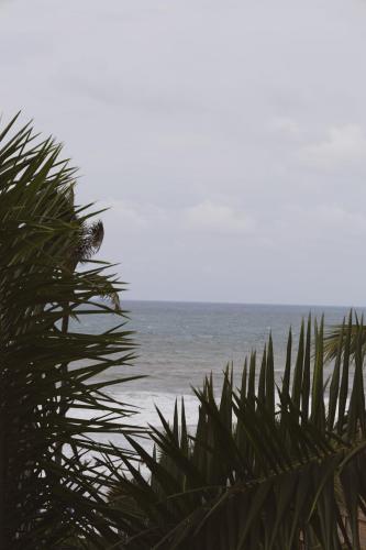 Sayulita Central Hotel Room Type - Double Room with Balcony and Sea View