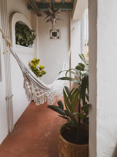 Sayulita Central Hotel Room Type - King Room with Balcony