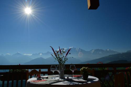 La Joubarbe au Balcon du Mont-Blanc photo 22
