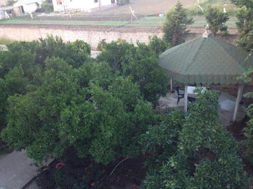 Guesthouse Anila - image 6