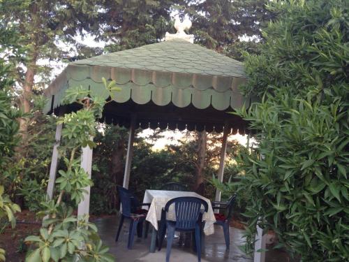 設施, Guesthouse Anila in 迪夫亞卡