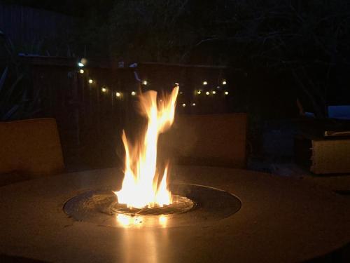 Large or Multiple Families Fun in Stoke