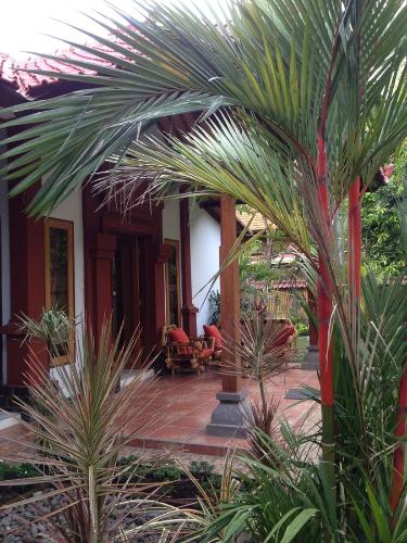 Biorock Homestay Pemuteran, Dive Center