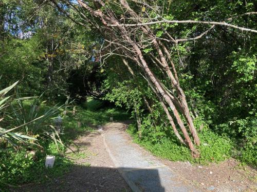 Garden, Large or Multiple Families Fun in Stoke