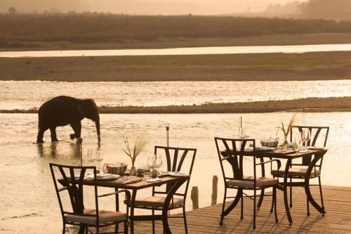 Restaurant, Meghauli Serai Chitwan National Park - A Taj Safari Lodge in Chitwan