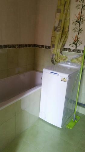 Apartment Ivushka