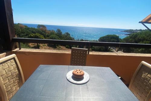 Appartement Les issambres vue exceptionnelle sur mer avec piscines - Location saisonnière - Roquebrune-sur-Argens
