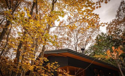 Nold forest house - Vacation STAY 17551v