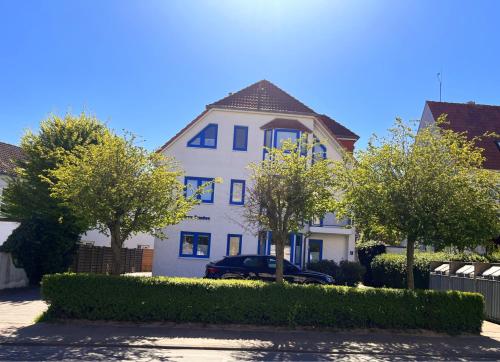 Seemöwe 2