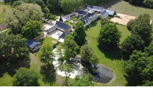 Manoir, vignes et chevaux au cœur des châteaux - Location saisonnière - Joué-lès-Tours
