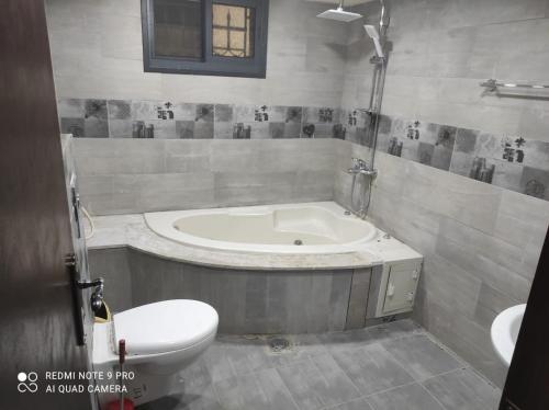 Chalet Wayne near Queen Alia International Airport