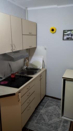 Apartman Melody - image 10