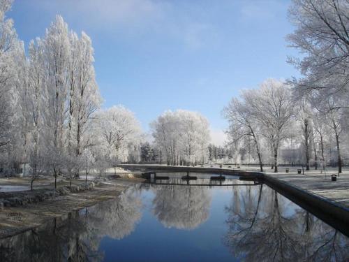 El Soto in Villarcayo