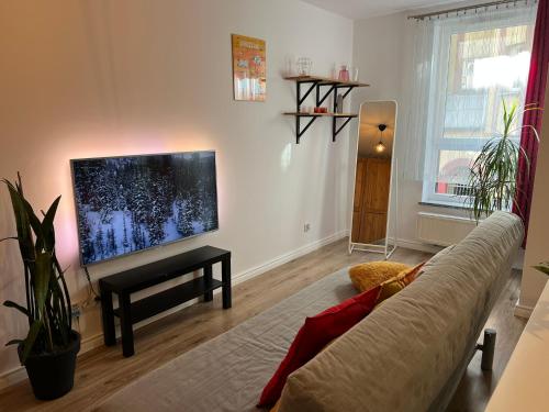 Golden House Apartament, Wroclaw (foto 7)