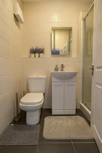 2 Bedroom Apt Pearse Street, Walking Distance to Dublin City Centre, Dublín (foto 8)