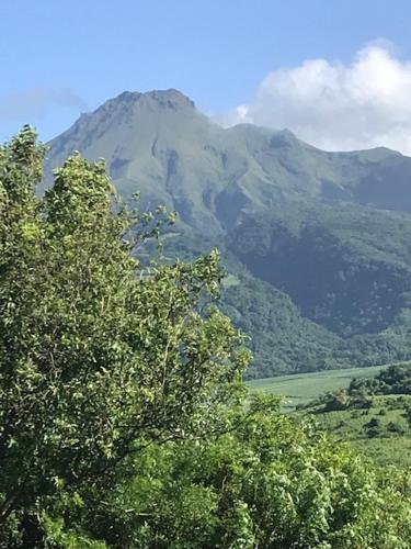 le refuge - Location saisonnière - Gros-Morne