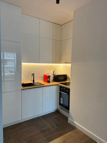 Riverside Suites with Cityscape Views Kwiatkowskiego Free Parking - Rzeszow