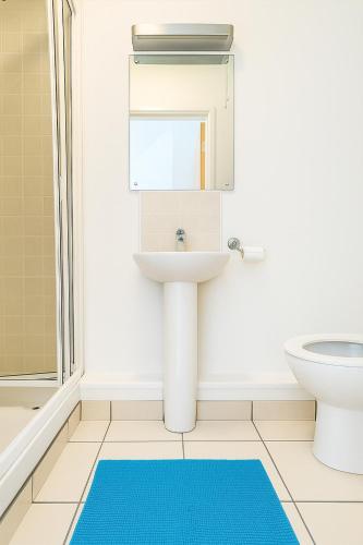 2 Bedroom Apt St Patricks Court Dublin 8, Dublin (fotografie 8)
