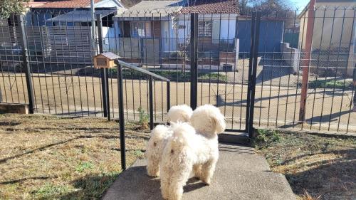 Casa en Montaña 2 habitaciones con cochera, apto mascotas