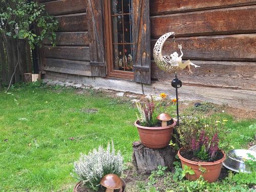 Agroturystyka LipoweWzgórze domek Danusia