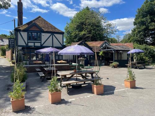 Ye Olde Red Lion - Photo 5 in Newbury, United Kingdom