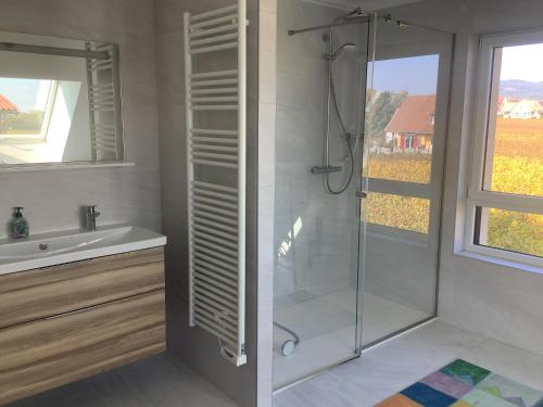 Phòng tắm, Superbe Maison Jacuzzi+Piscine au cœur des vignes in Rouffach