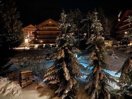 Meribel, Chasseforet Plateau Appartement en duplex ski aux pieds refait a neuf in Meribel