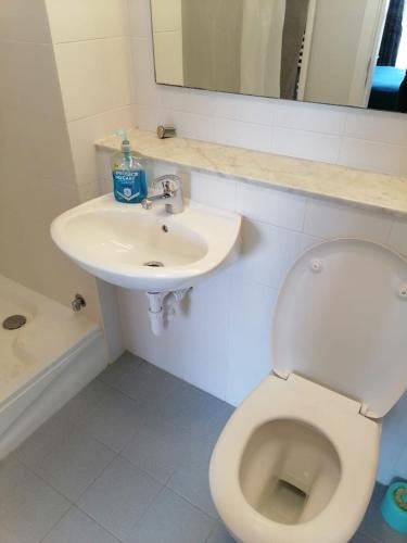 3bed 3bath Liffey river view, Dublin (photo 3)