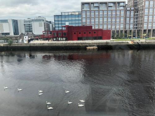 3bed 3bath Liffey river view, Dublin (photo 4)