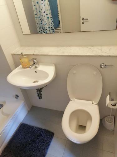 3bed 3bath Liffey river view, Dublin (photo 9)