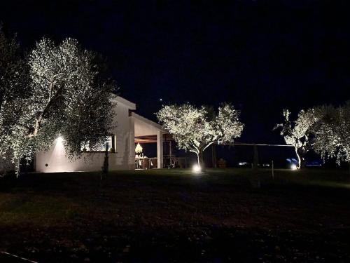 Wonderful brand new Villa with swimming pool in Capalbio Maremma Tuscany in Капальбіо