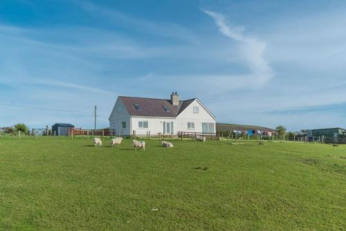 Bryndaron gîte à louer Llanfaelrhys