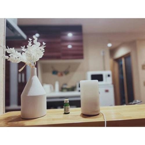 飛鳥魚の家 冷泉汀Spring house