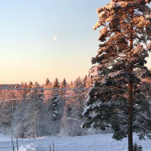Aurora Valley Cottage in Dalback
