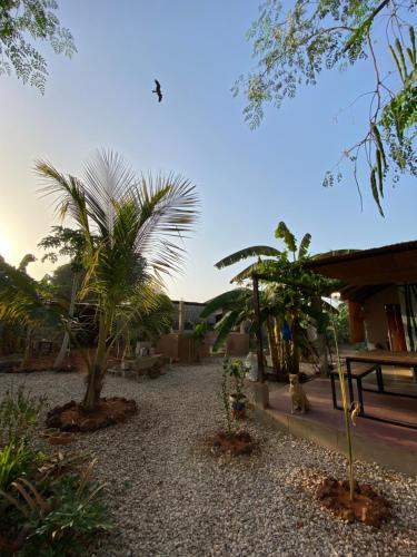 Garden, Native Bijagos in Bolama