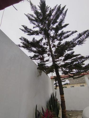 Cozy room near UPSE in Santa Elena