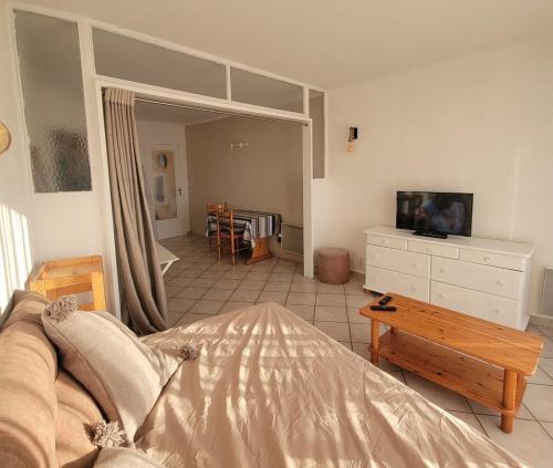 Studio 20 metres de la mer - Location saisonnière - Canet-en-Roussillon