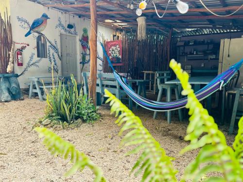 Cabanitas y Dorms in Benito Juárez