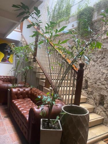 Casa Ebano 967, Cartagena de Indias (foto 7)