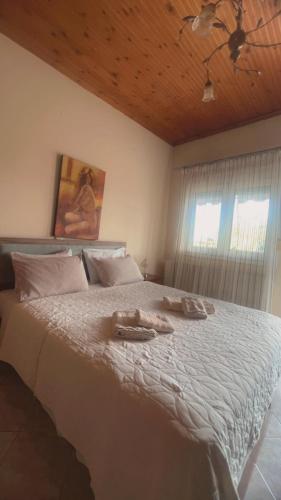 Guesthouse Adonis